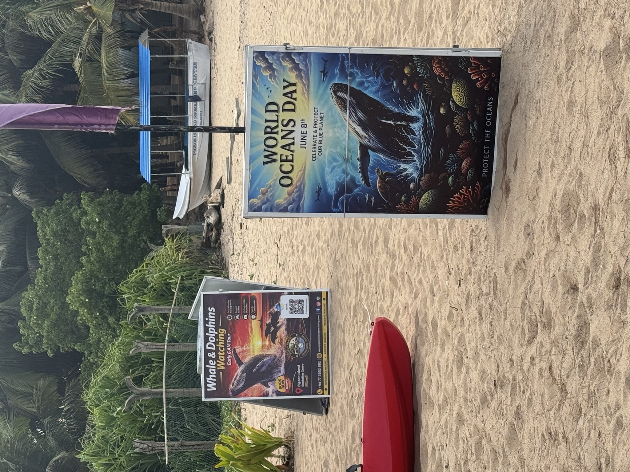 Dolphin watching advertisement
